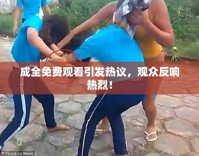 成全免费观看引发热议，观众反响热烈！