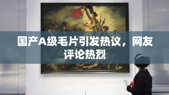 国产A级毛片引发热议，网友评论热烈
