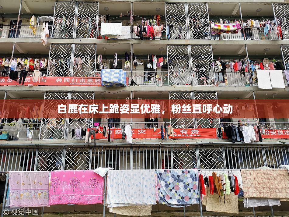 白鹿在床上跪姿显优雅，粉丝直呼心动