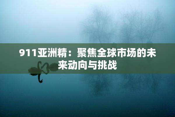 911亚洲精：聚焦全球市场的未来动向与挑战