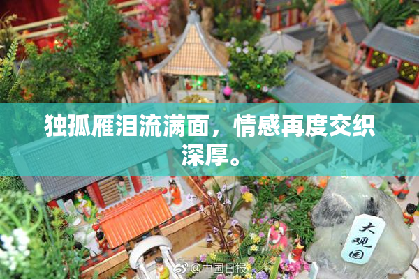 独孤雁泪流满面，情感再度交织深厚。