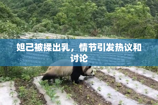 妲己被揉出乳，情节引发热议和讨论