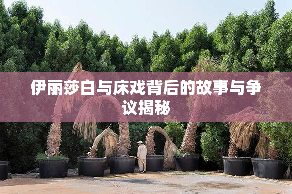 伊丽莎白与床戏背后的故事与争议揭秘