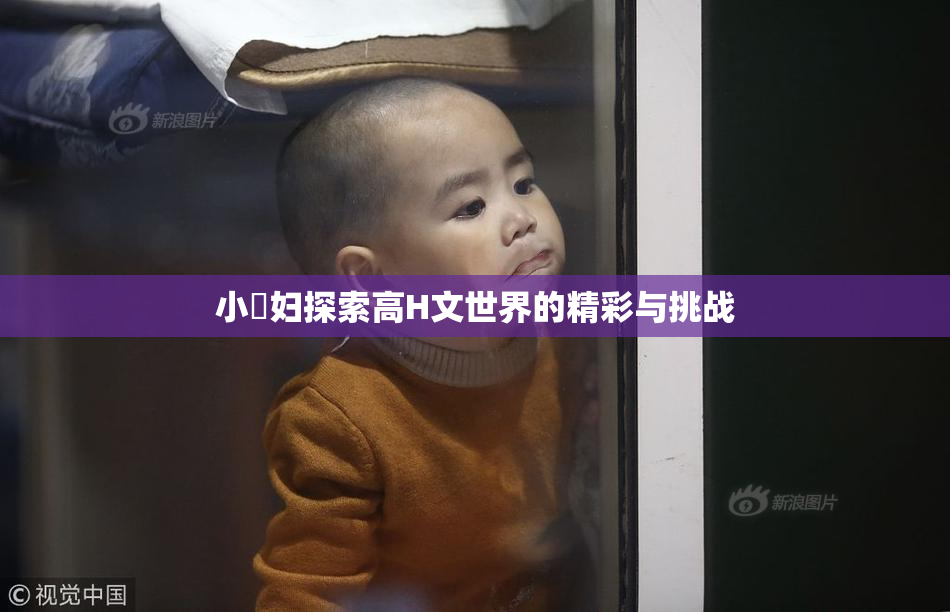小婬妇探索高H文世界的精彩与挑战
