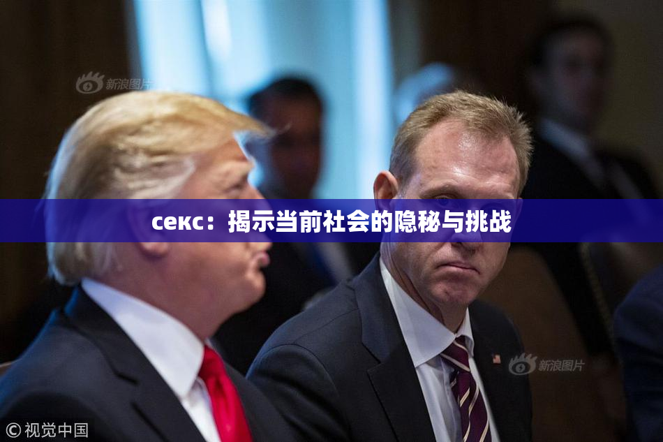 ceкс：揭示当前社会的隐秘与挑战