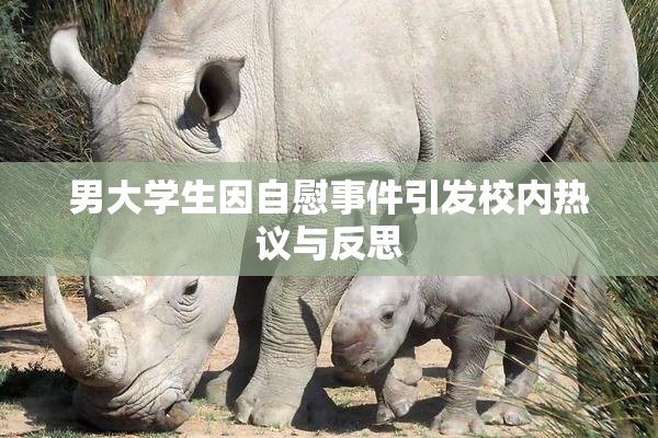 男大学生因自慰事件引发校内热议与反思