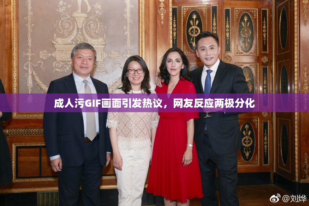 成人污GIF画面引发热议，网友反应两极分化