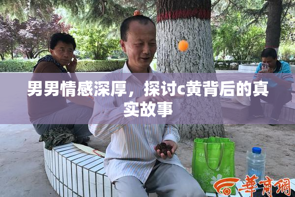 男男情感深厚，探讨c黄背后的真实故事