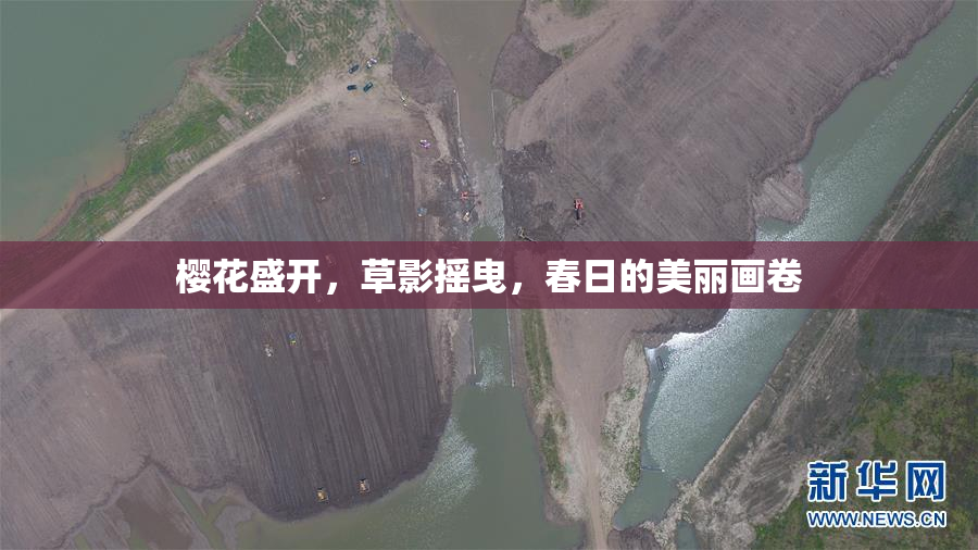樱花盛开，草影摇曳，春日的美丽画卷