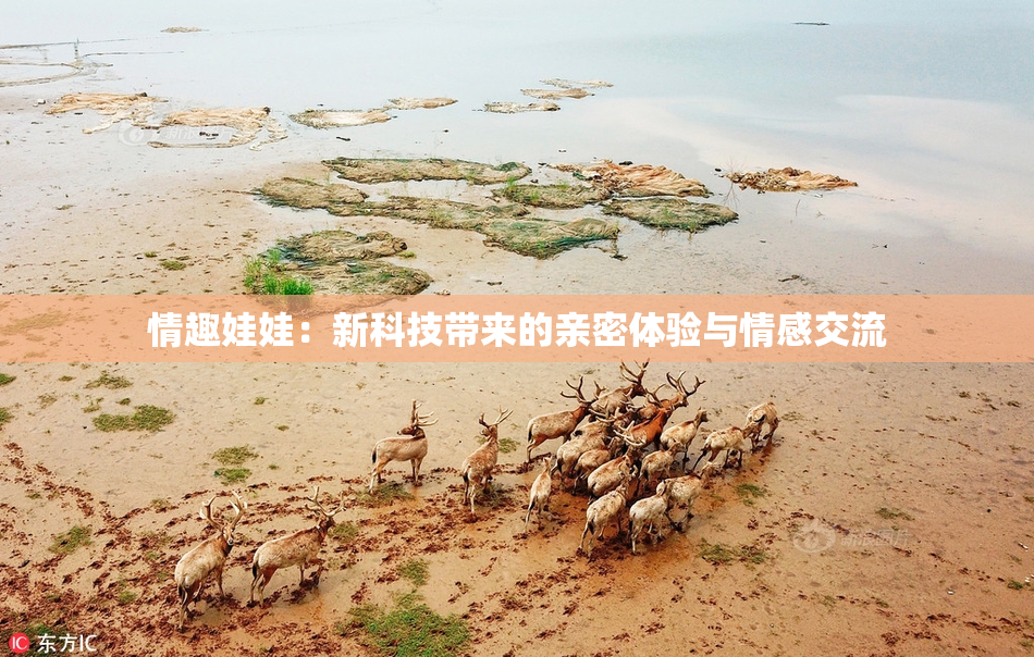 情趣娃娃：新科技带来的亲密体验与情感交流