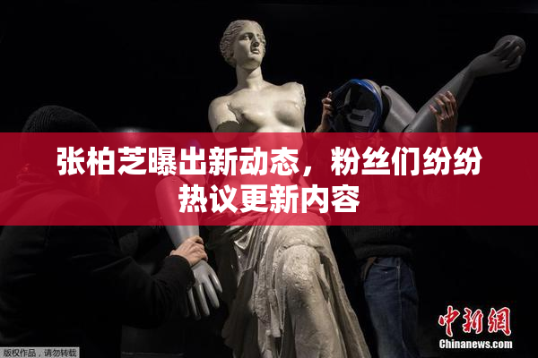 张柏芝曝出新动态，粉丝们纷纷热议更新内容