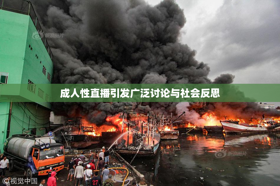 成人性直播引发广泛讨论与社会反思