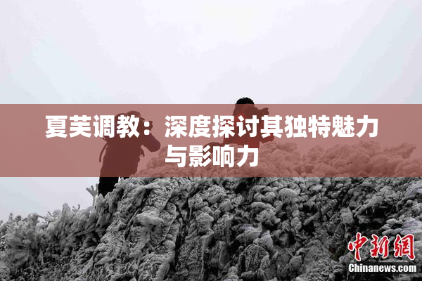 夏芙调教：深度探讨其独特魅力与影响力