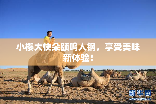 小樱大快朵颐鸣人钢，享受美味新体验！