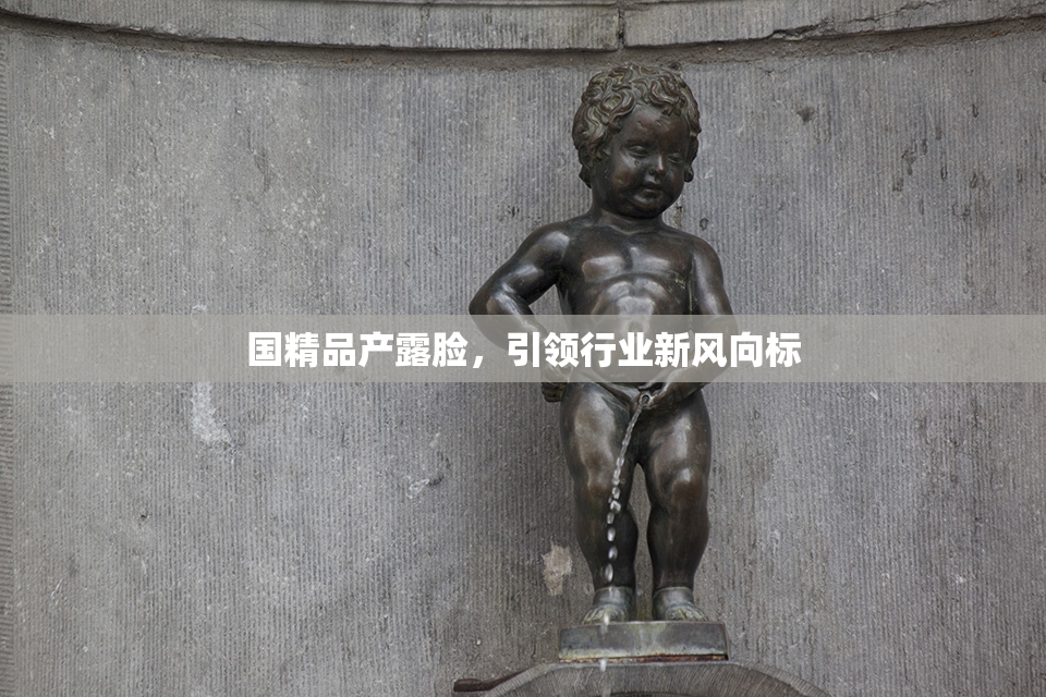 国精品产露脸，引领行业新风向标