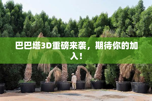 巴巴塔3D重磅来袭，期待你的加入！