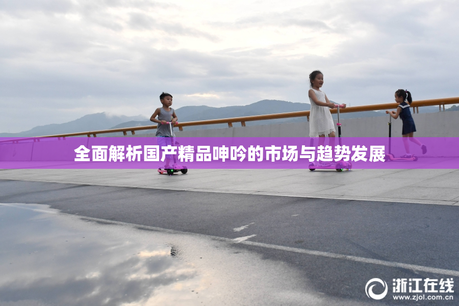 全面解析国产精品呻吟的市场与趋势发展