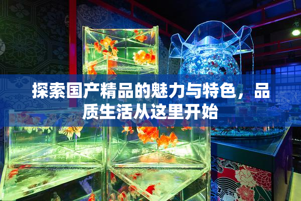 探索国产精品的魅力与特色，品质生活从这里开始