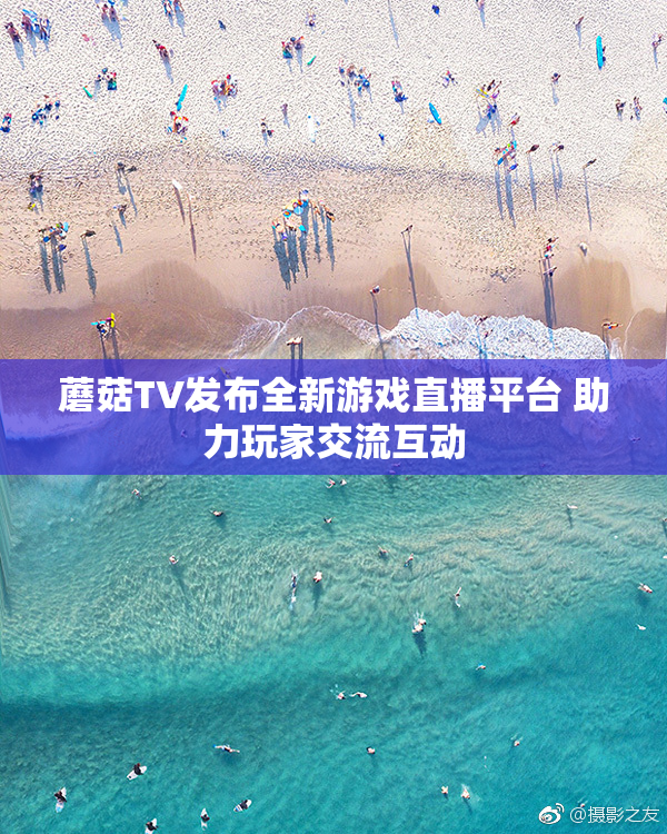 蘑菇TV发布全新游戏直播平台 助力玩家交流互动