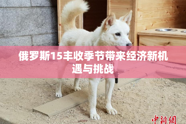 俄罗斯15丰收季节带来经济新机遇与挑战