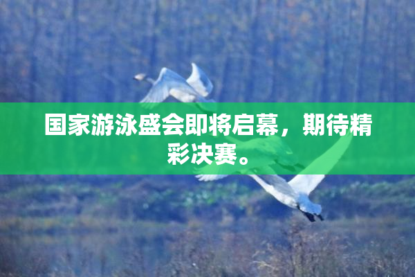 国家游泳盛会即将启幕，期待精彩决赛。