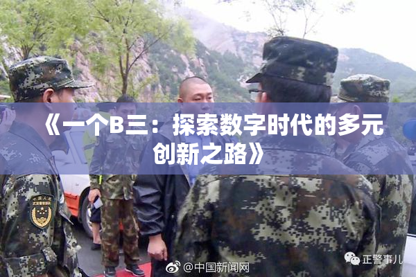《一个B三：探索数字时代的多元创新之路》