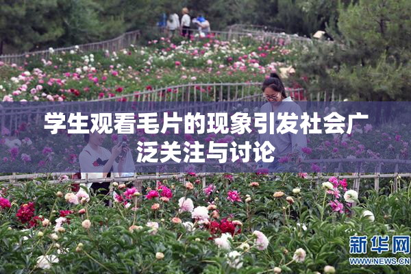 学生观看毛片的现象引发社会广泛关注与讨论