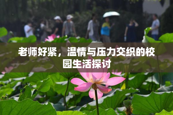 老师好紧，温情与压力交织的校园生活探讨
