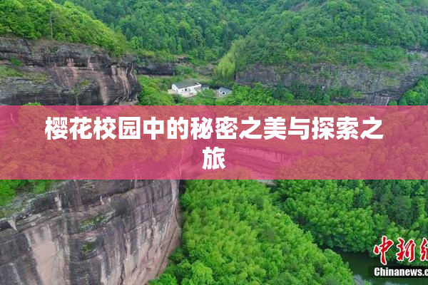 樱花校园中的秘密之美与探索之旅