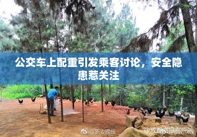 公交车上配重引发乘客讨论，安全隐患惹关注