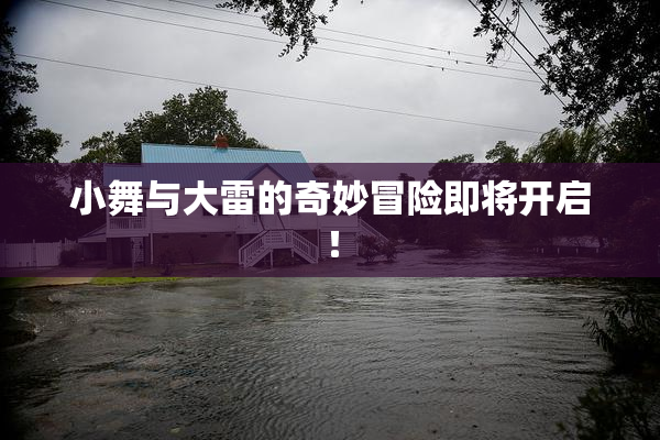 小舞与大雷的奇妙冒险即将开启！