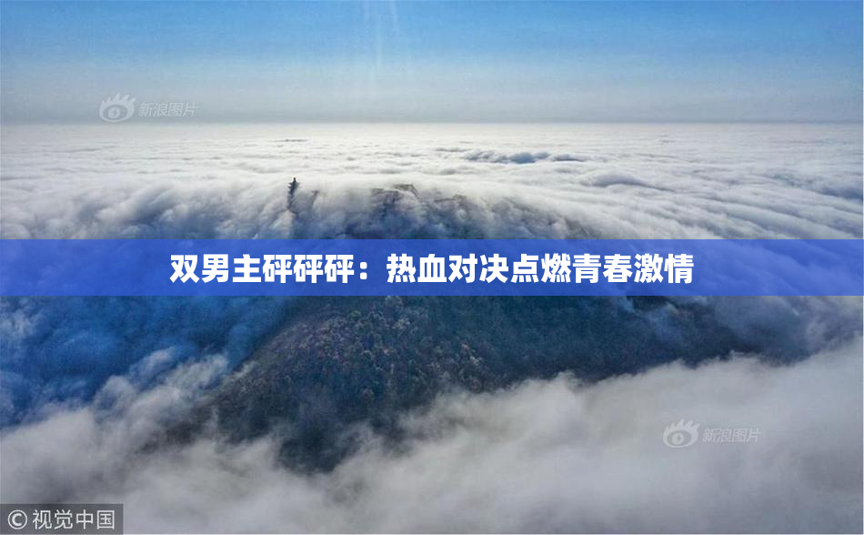 双男主砰砰砰：热血对决点燃青春激情
