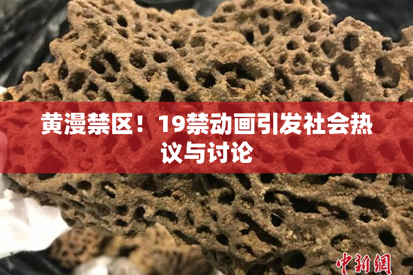 黄漫禁区！19禁动画引发社会热议与讨论
