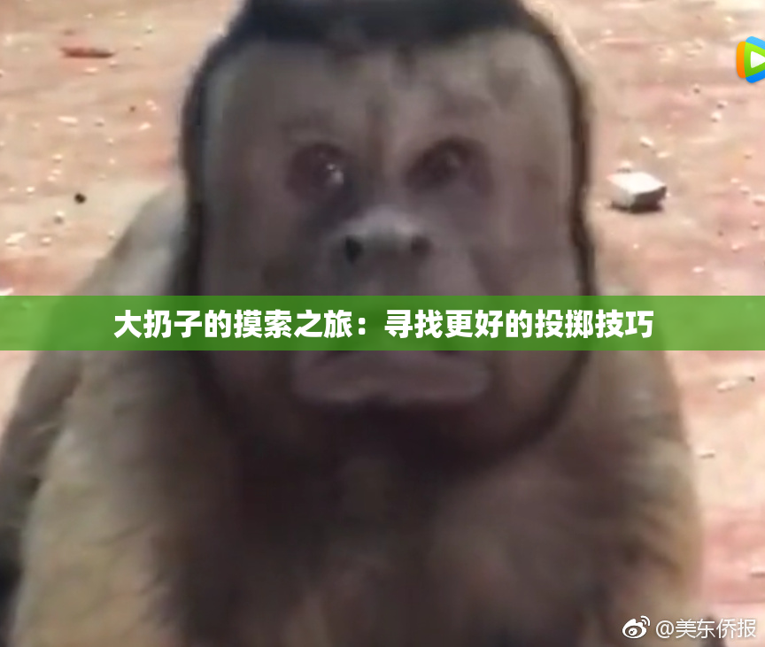 大扔子的摸索之旅：寻找更好的投掷技巧