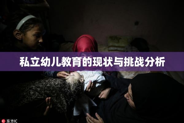 私立幼儿教育的现状与挑战分析