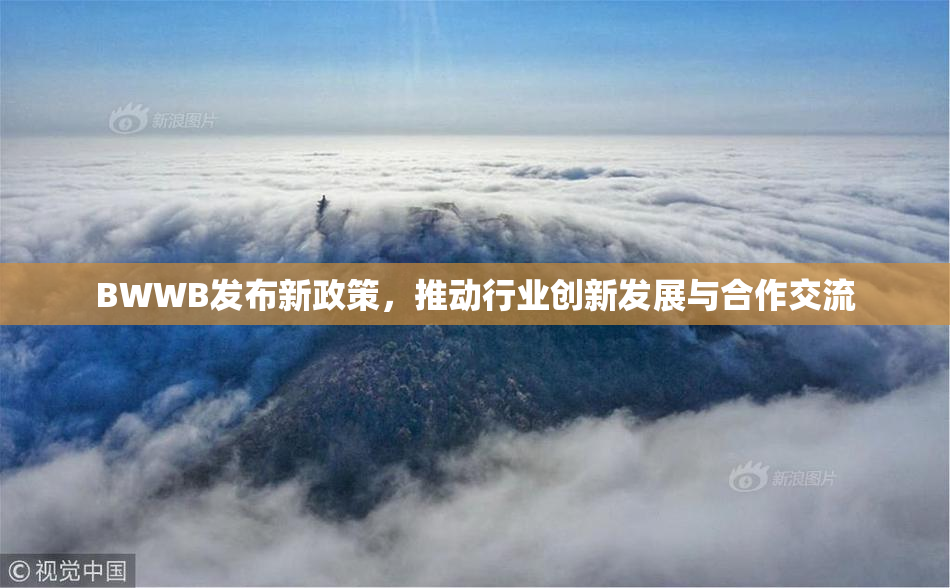 BWWB发布新政策，推动行业创新发展与合作交流