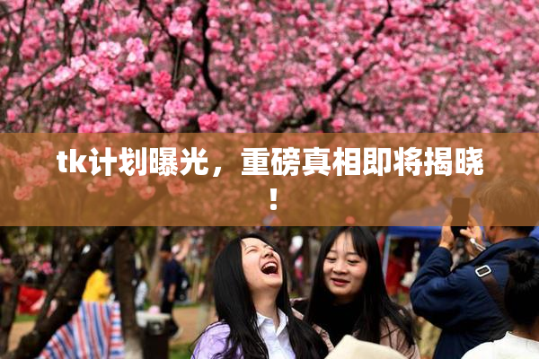 tk计划曝光，重磅真相即将揭晓！