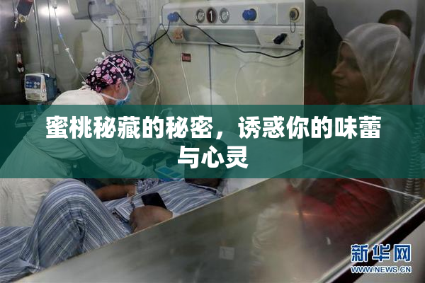 蜜桃秘藏的秘密，诱惑你的味蕾与心灵