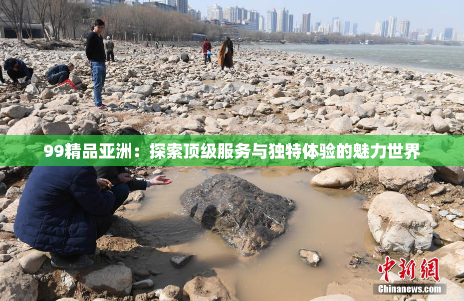 99精品亚洲：探索顶级服务与独特体验的魅力世界