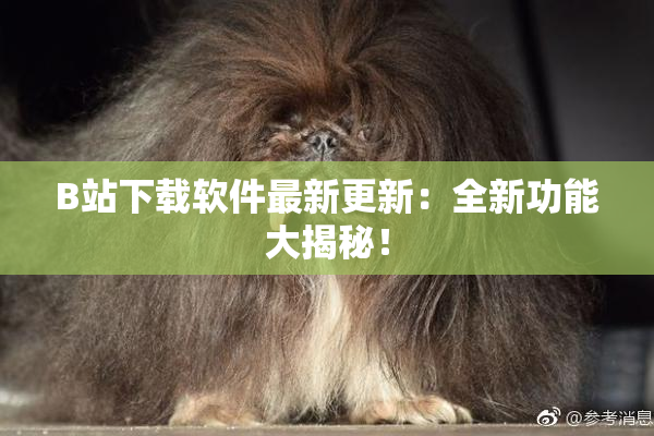 B站下载软件最新更新：全新功能大揭秘！