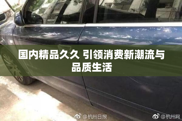 国内精品久久 引领消费新潮流与品质生活