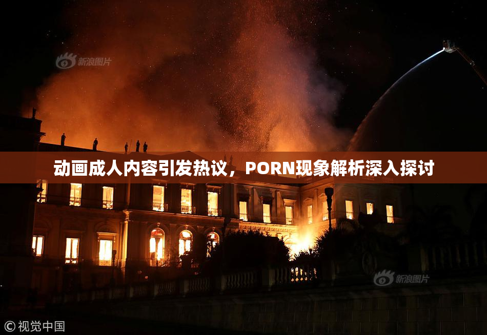 动画成人内容引发热议，PORN现象解析深入探讨
