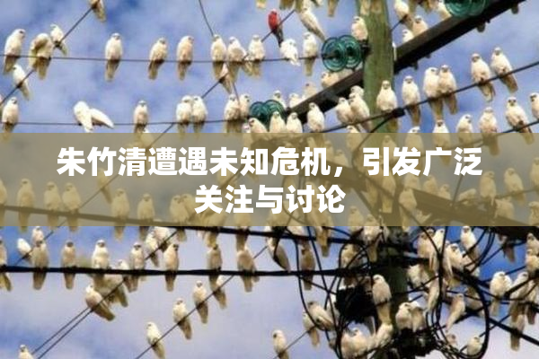 朱竹清遭遇未知危机，引发广泛关注与讨论
