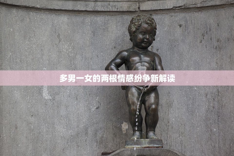 多男一女的两根情感纷争新解读