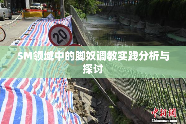 SM领域中的脚奴调教实践分析与探讨