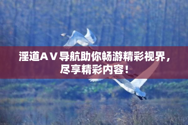 淫道AⅤ导航助你畅游精彩视界，尽享精彩内容！