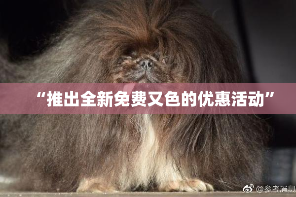 “推出全新免费又色的优惠活动”