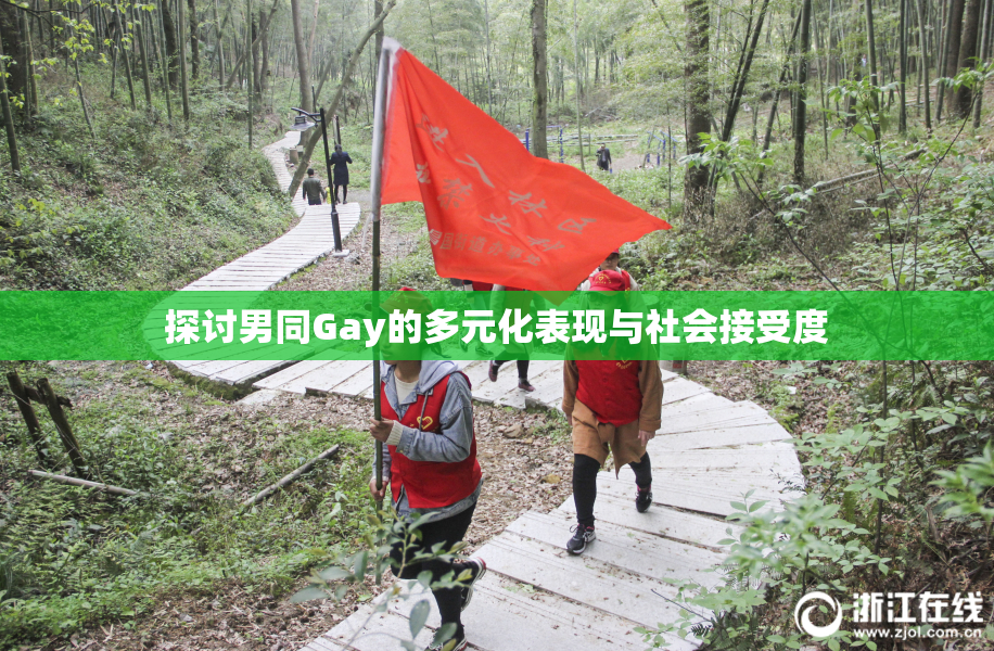 探讨男同Gay的多元化表现与社会接受度