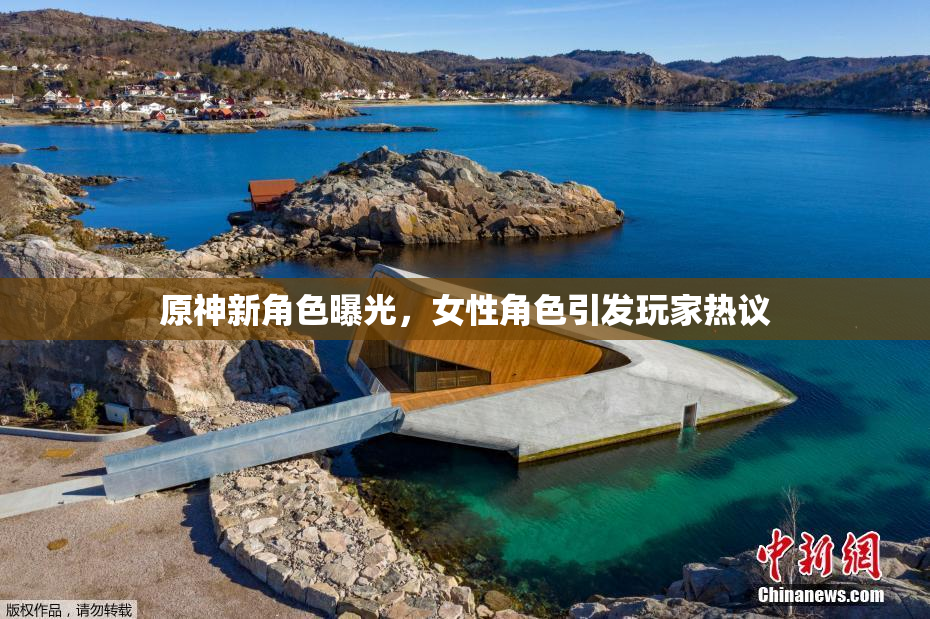 原神新角色曝光，女性角色引发玩家热议