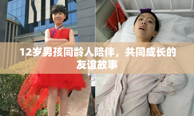 12岁男孩同龄人陪伴，共同成长的友谊故事